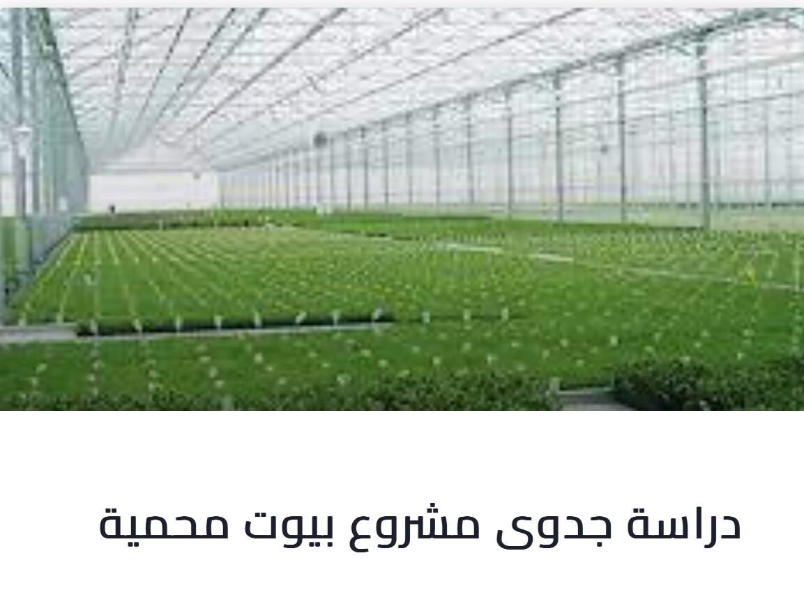WhatsApp Image 2025-03-12 at 22.53.26_67e88489