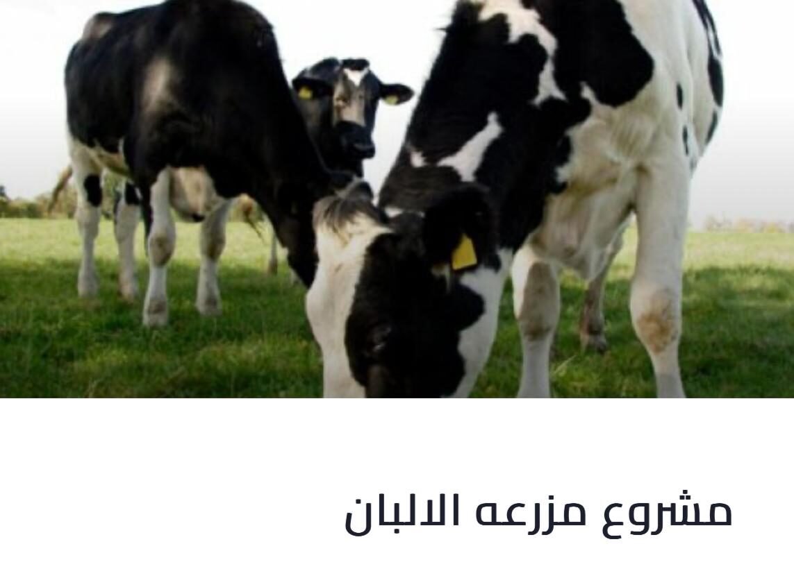 WhatsApp Image 2025-03-12 at 22.53.27_1619bfce